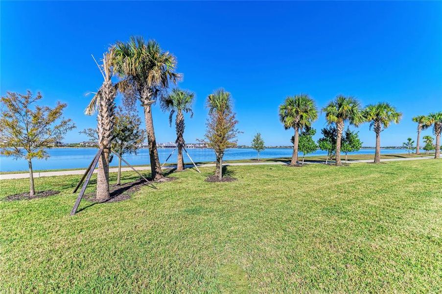 Natural landscape and outdoor views near Nautique at Waterside in Sarasota (Image 36).