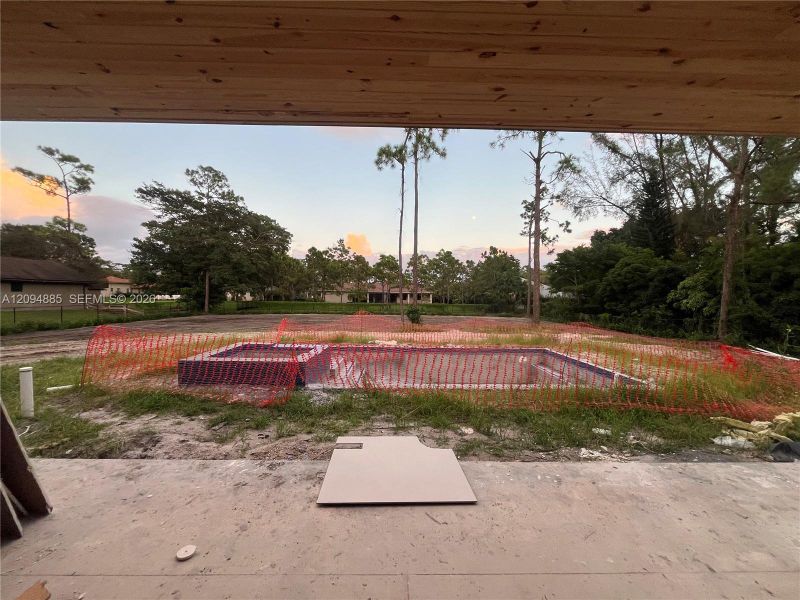 Back yard