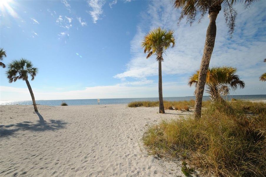 Natural landscape and outdoor views near in Tarpon Springs (Image 57). Natural landscape and outdoor views near in Tarpon Springs (Image 57).