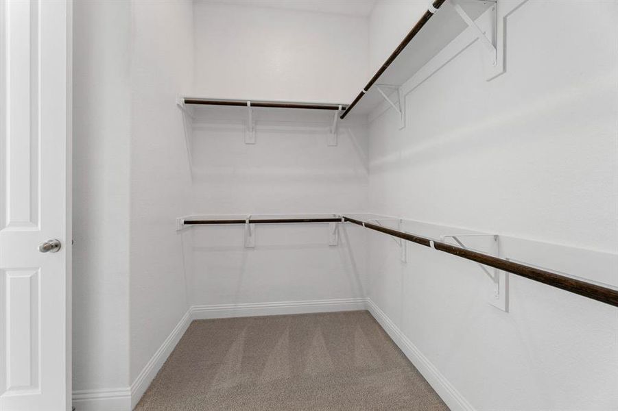 DAL_Saddle Star_Lavaca_2417 Miranda Lane (25)