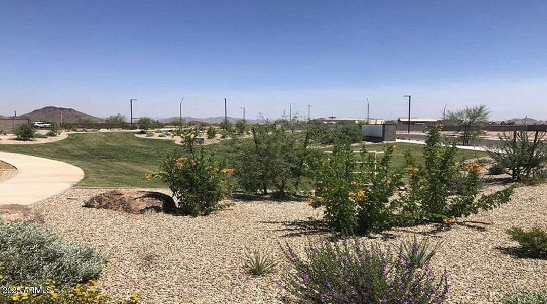 Community Photo Community Photo