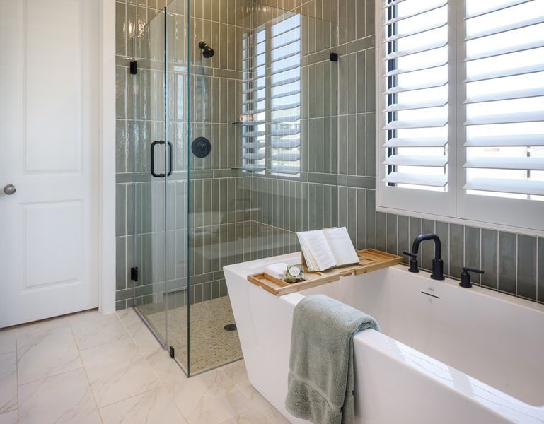 Representative Primary Bathroom - some options shown