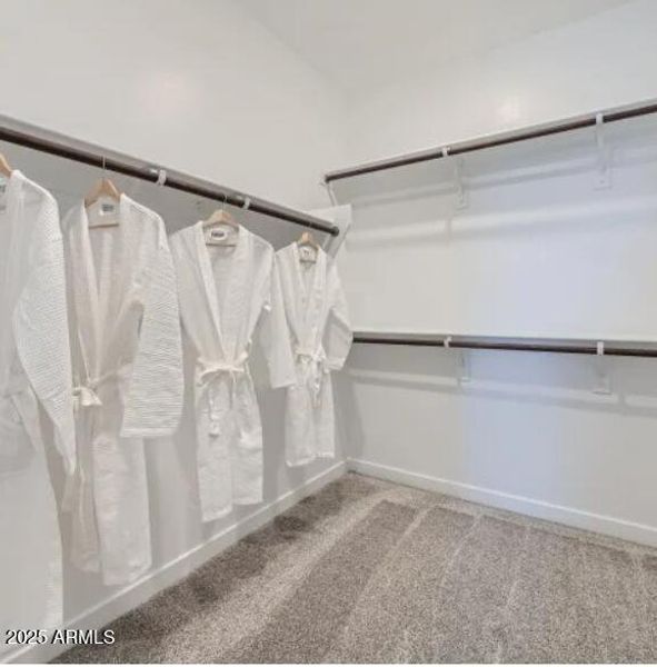 Owner's Walk in Closet Owner's Walk in Closet