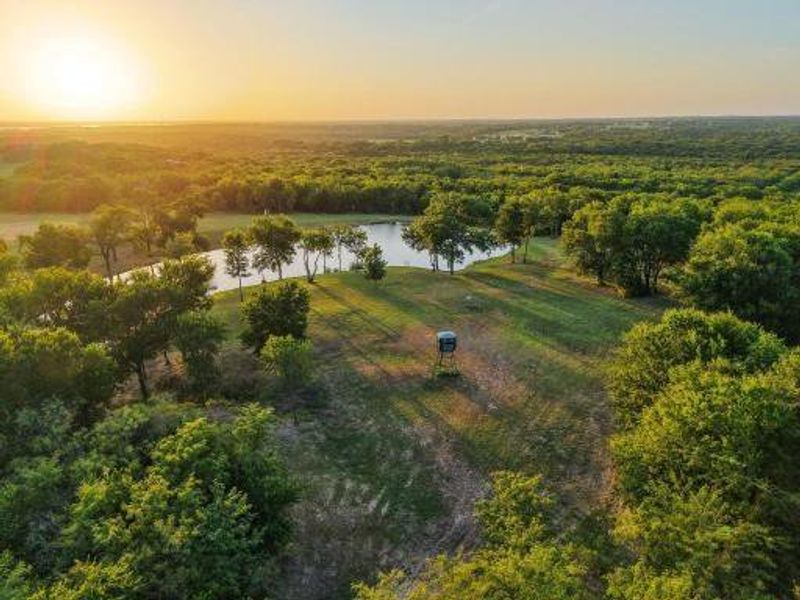 Natural landscape and outdoor views near  in Sherman (Image 22).
