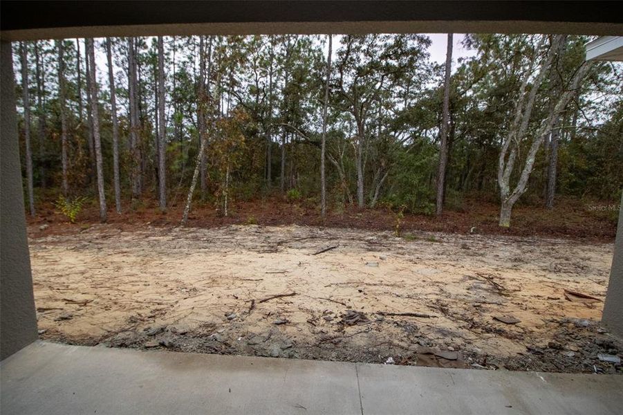 Site preparation for new homesites in , Beverly Hills (Image 8). Site preparation for new homesites in , Beverly Hills (Image 8).