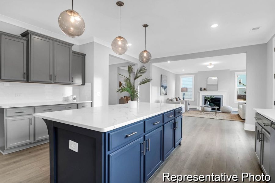 Furnished interior view inside a new home in Homecoming, Ravenel (Image 10).