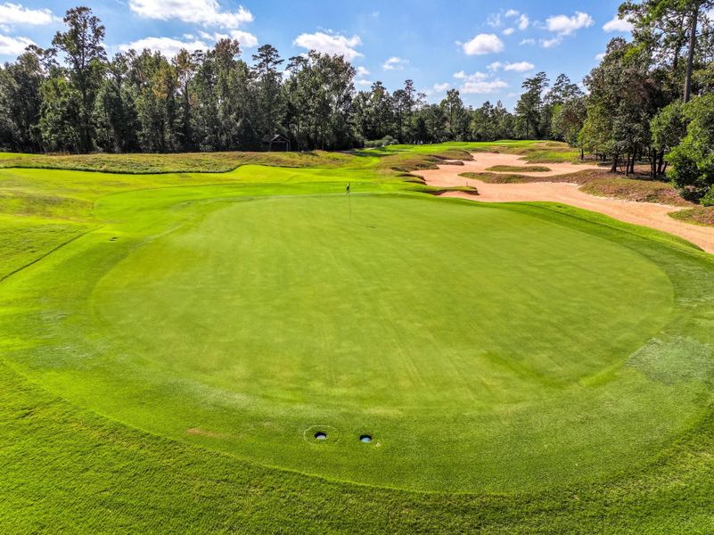 This photo features a beautifully maintained golf course, showcasing a lush green with surrounding sand bunkers and a backdrop of mature trees. Perfect for golf enthusiasts seeking a serene and scenic environment.