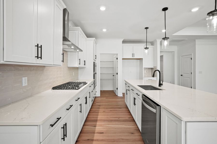 Furnished interior view inside a new home in Carolina Riverside, Belmont (Image 10).