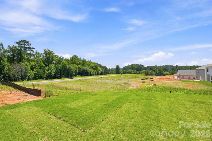 Natural landscape and outdoor views near Catawba Trace in Catawba (Image 27). Natural landscape and outdoor views near Catawba Trace in Catawba (Image 27).