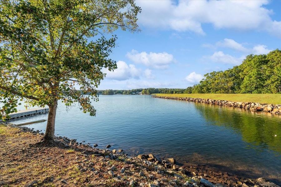 Natural landscape and outdoor views near  in Villa Rica (Image 47).