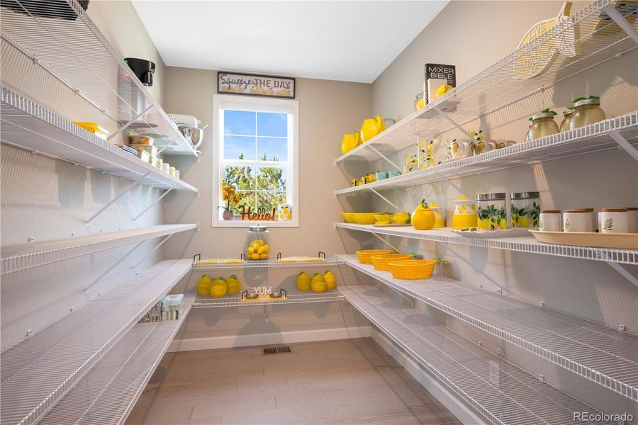 Oversized Pantry with natural light.