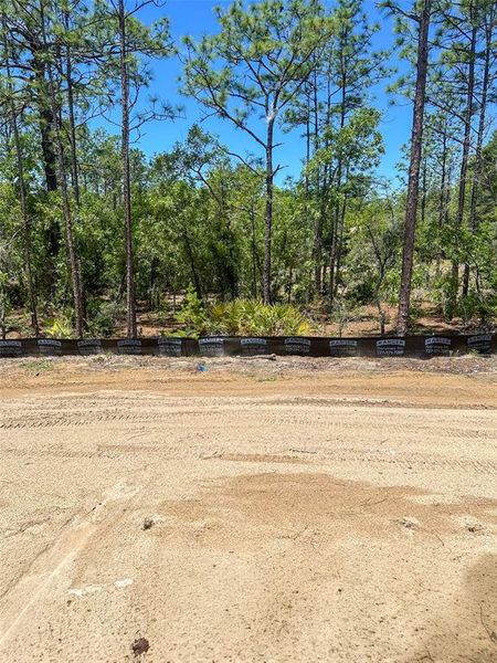 Site preparation for new homesites in Pine Ridge Estates, Beverly Hills (Image 7).
