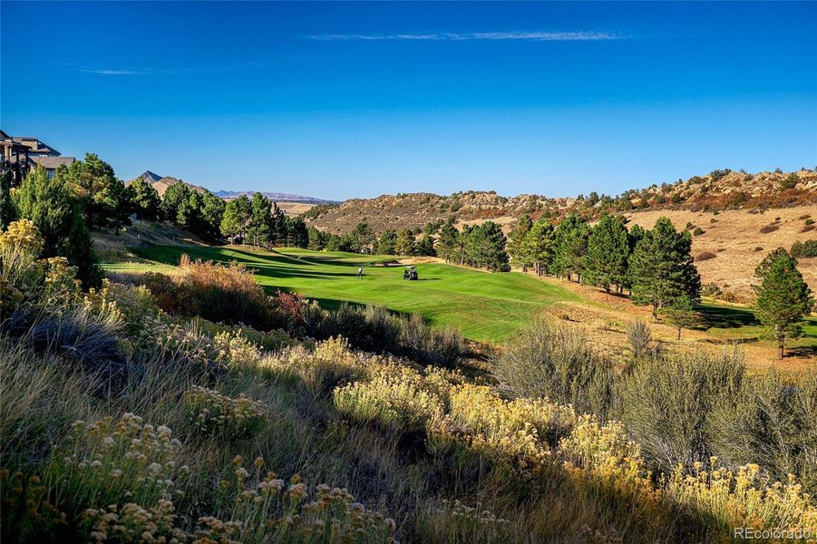 Nature's majesty is in full display right from your private terrace.