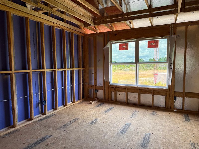 Generous primary suite with tray ceiling and expansive windows Generous primary suite with tray ceiling and expansive windows