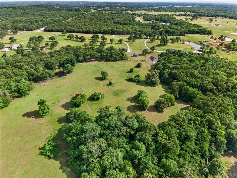 Natural landscape and outdoor views near  in Athens (Image 28).