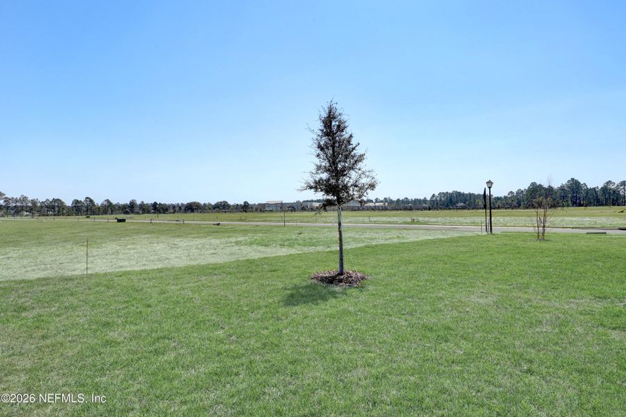 Natural landscape and outdoor views near New 55+ Active Adult Community in St. Augustine in St. Augustine (Image 22).