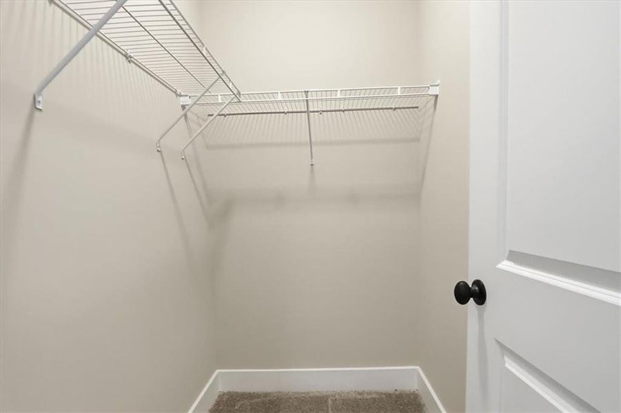 Spacious, unfurnished interior of a new home in , Statham (Image 71).