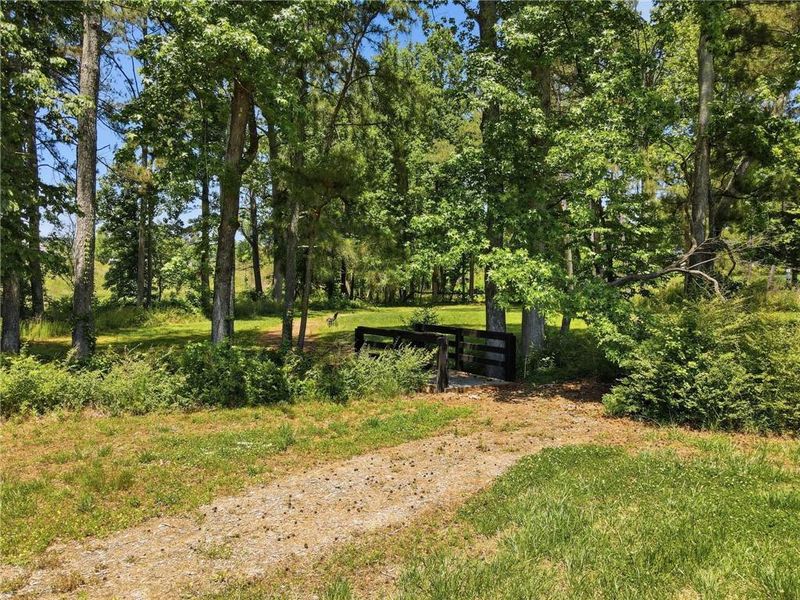 Natural landscape and outdoor views near Berkeley Mill in Cumming (Image 44).