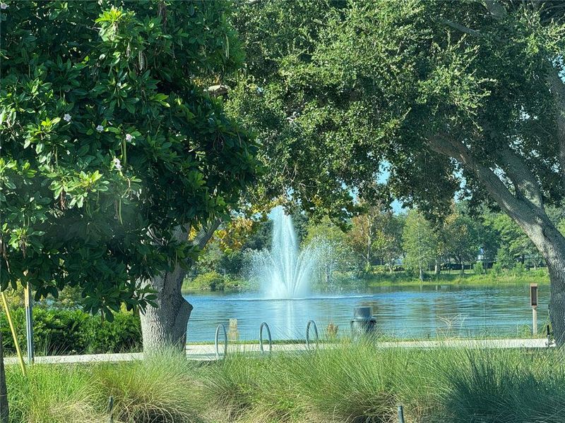 Natural landscape and outdoor views near in Clearwater (Image 36). Natural landscape and outdoor views near in Clearwater (Image 36).