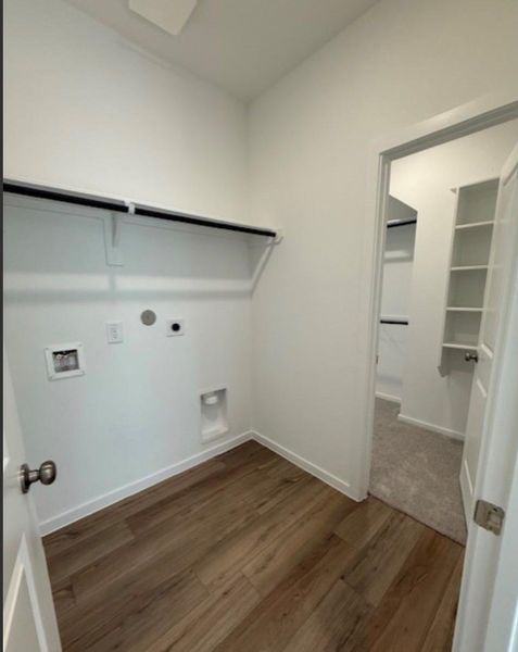 Representative photos