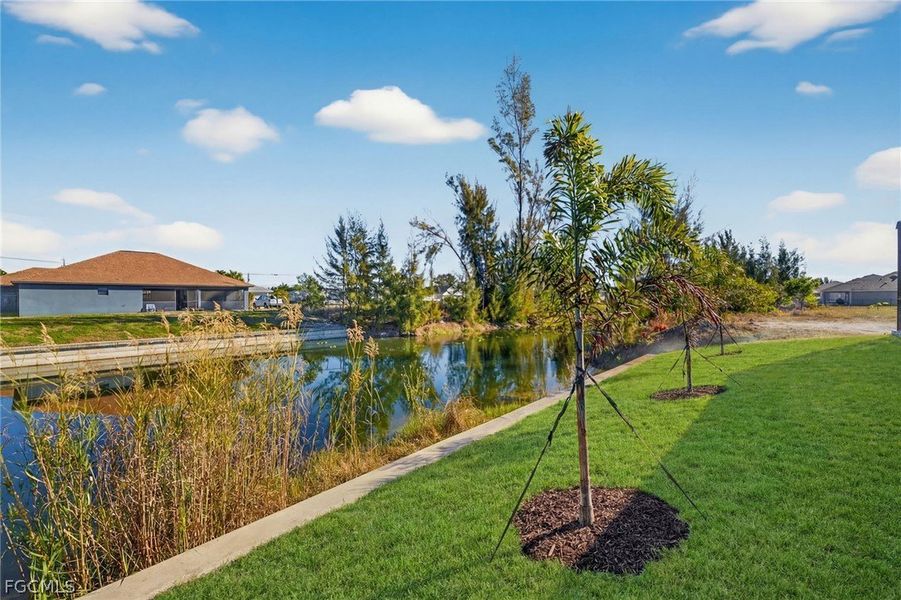 Natural landscape and outdoor views near Cape Coral in Cape Coral (Image 32). Natural landscape and outdoor views near Cape Coral in Cape Coral (Image 32).