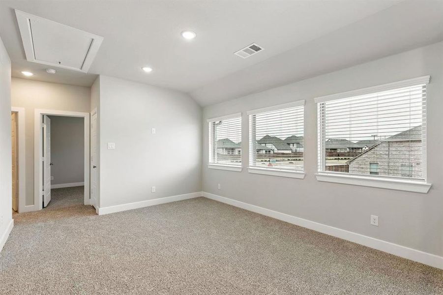 2101 Hazel Lily 2101 Hazel Lily