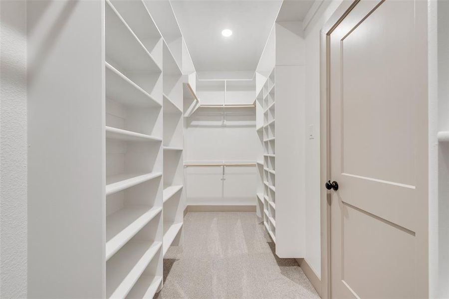 Spacious closet featuring light carpet