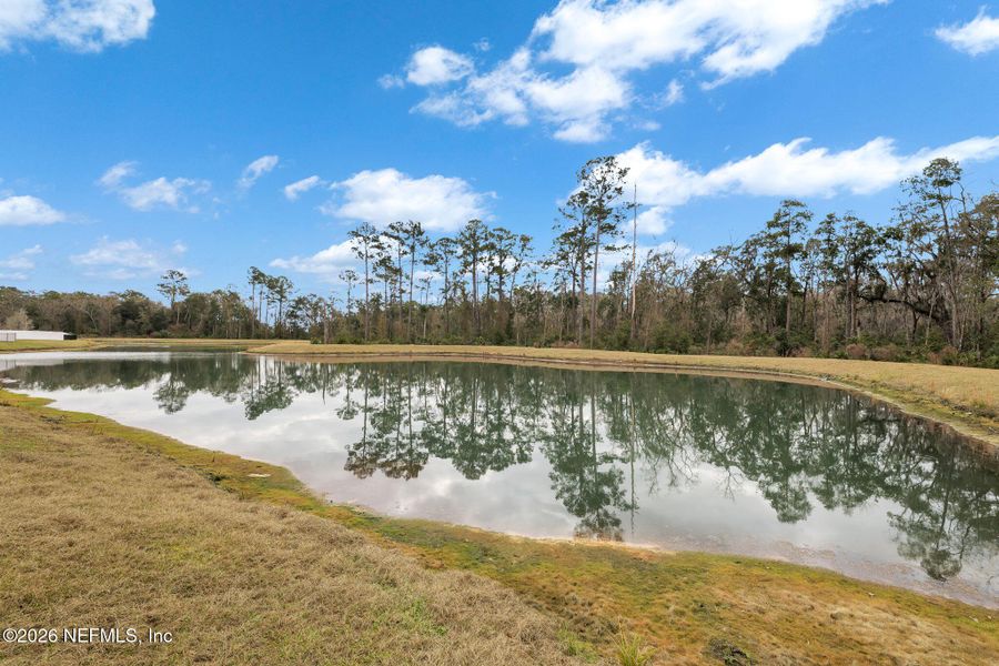 Natural landscape and outdoor views near  in Jacksonville (Image 38).
