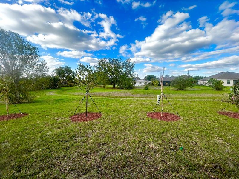 Natural landscape and outdoor views near Deep Creek in Punta Gorda (Image 32).