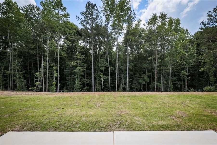 Natural landscape and outdoor views near  in Rockmart (Image 35).