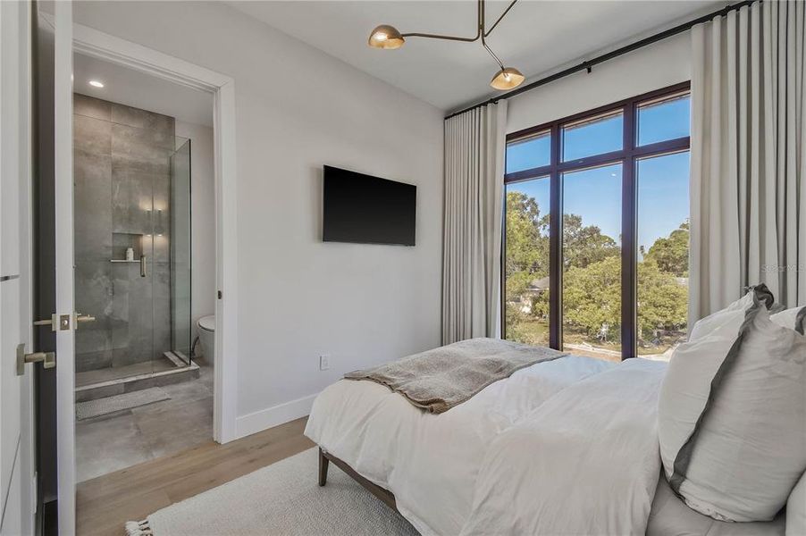 Furnished interior view inside a new home in , Dunedin (Image 12).