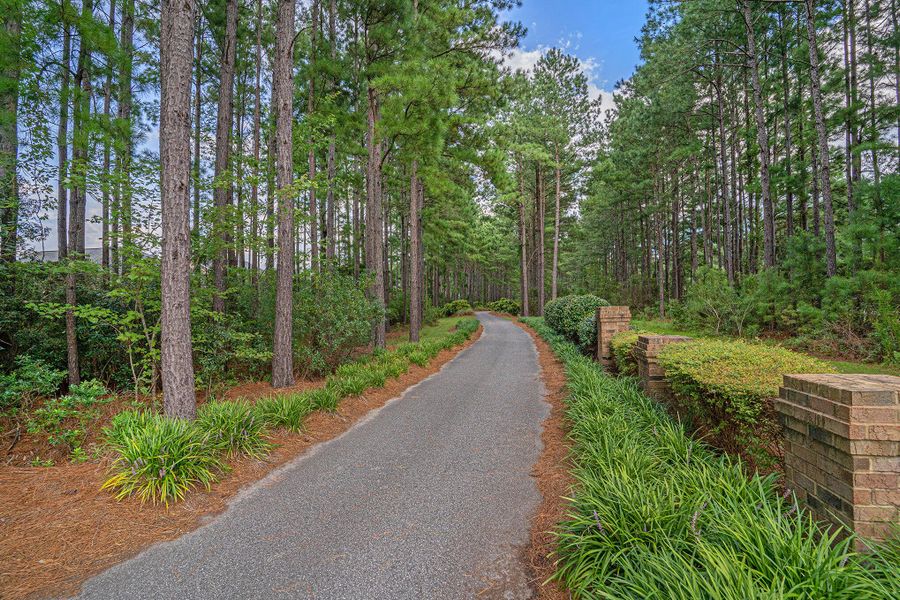 Natural landscape and outdoor views near Lindera Preserve at Cane Bay Plantation in Summerville (Image 39).