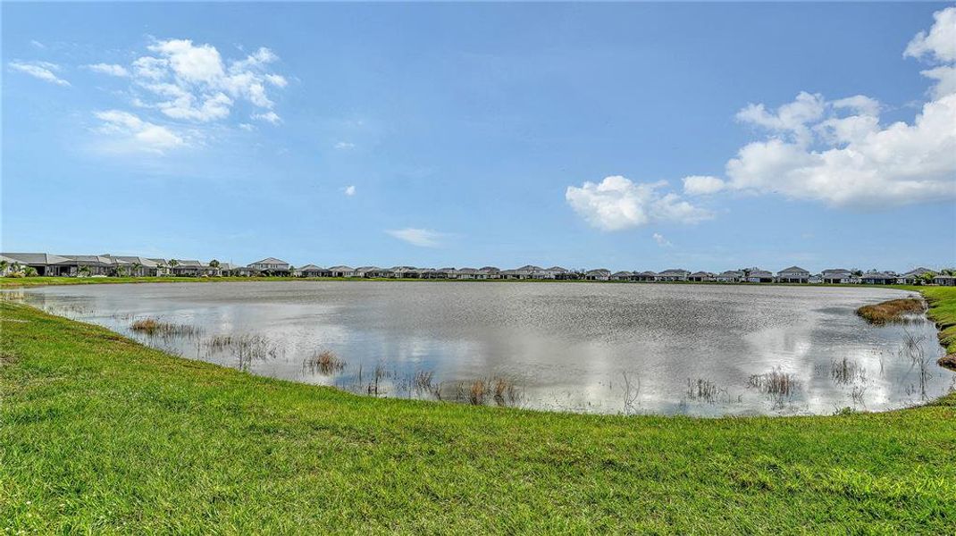 Natural landscape and outdoor views near  in Bradenton (Image 56).
