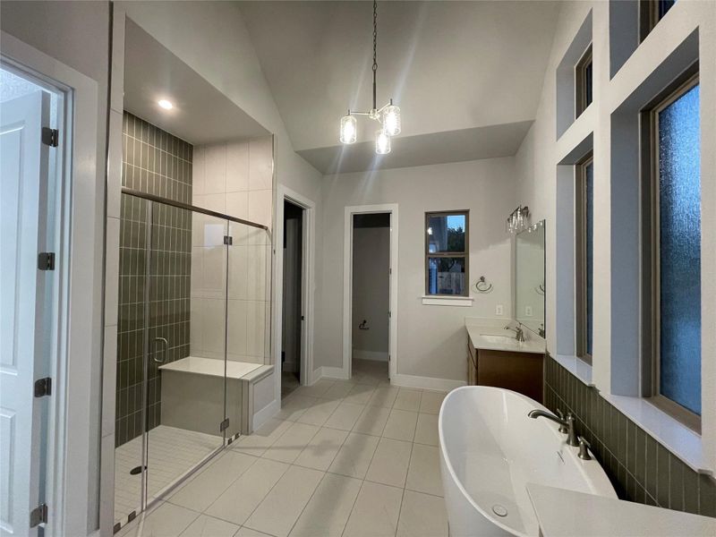 Huge Walk-in Shower in Primary Bath