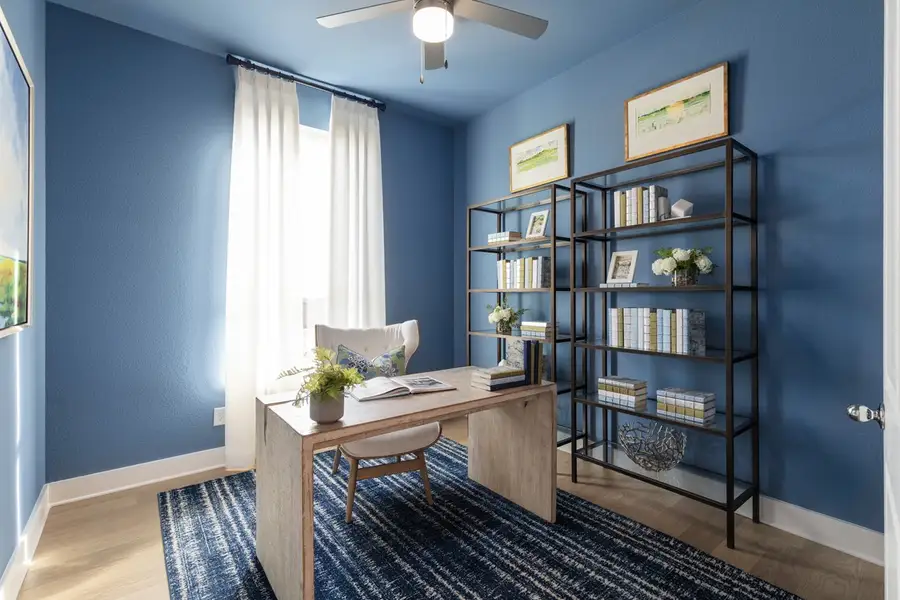 Representative Study - some options shown