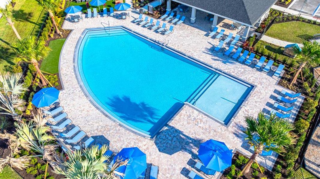 Community amenities in Indigo Creek, Apollo Beach (Image 35).