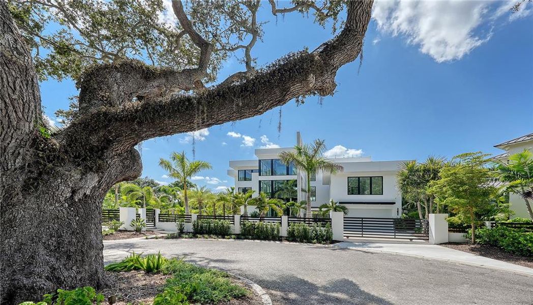 Natural landscape and outdoor views near  in Sarasota (Image 16).