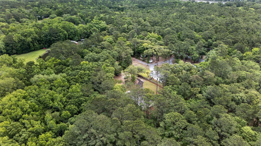 Natural landscape and outdoor views near  in Johns Island (Image 38).