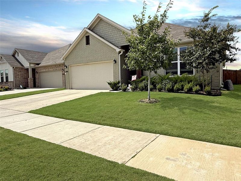 Craftsman house featuring driveway, an attached garage, a front lawn, and brick siding Craftsman house featuring driveway, an attached garage, a front lawn, and brick siding