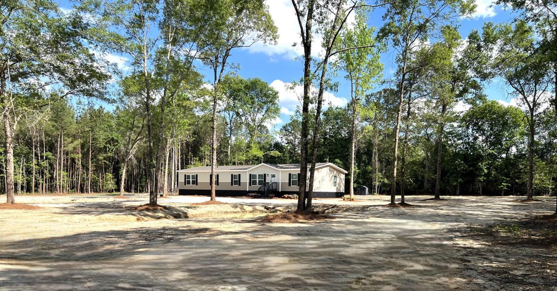 Natural landscape and outdoor views near in Walterboro (Image 20). Natural landscape and outdoor views near in Walterboro (Image 20).