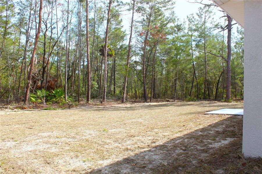 Exterior details and patio area of a home in , Ocklawaha (Image 23).