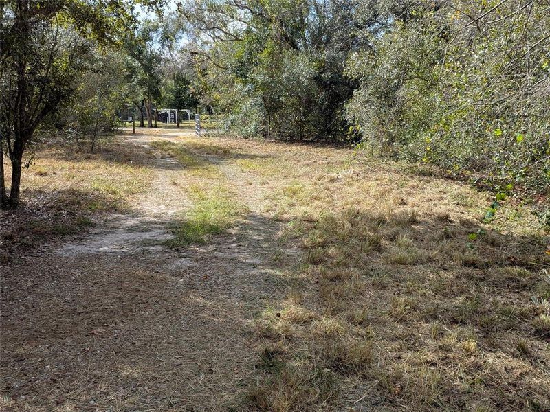 Natural landscape and outdoor views near  in Arcadia (Image 45).