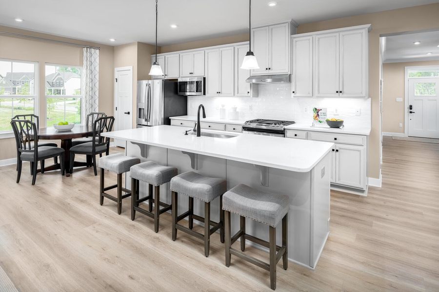 Furnished interior view inside a new home in Cainhoy Preserve, Huger (Image 6).