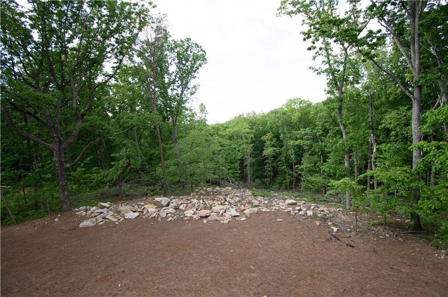 Natural landscape and outdoor views near  in Jasper (Image 42).