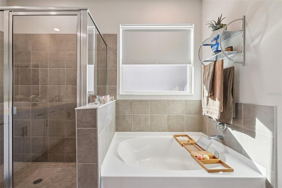 Furnished interior view inside a new home in , San Antonio (Image 53). Furnished interior view inside a new home in , San Antonio (Image 53).