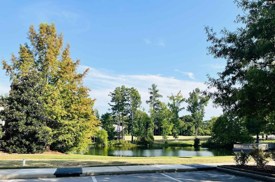 Natural landscape and outdoor views near Blythewood Farms in Blythewood (Image 49).