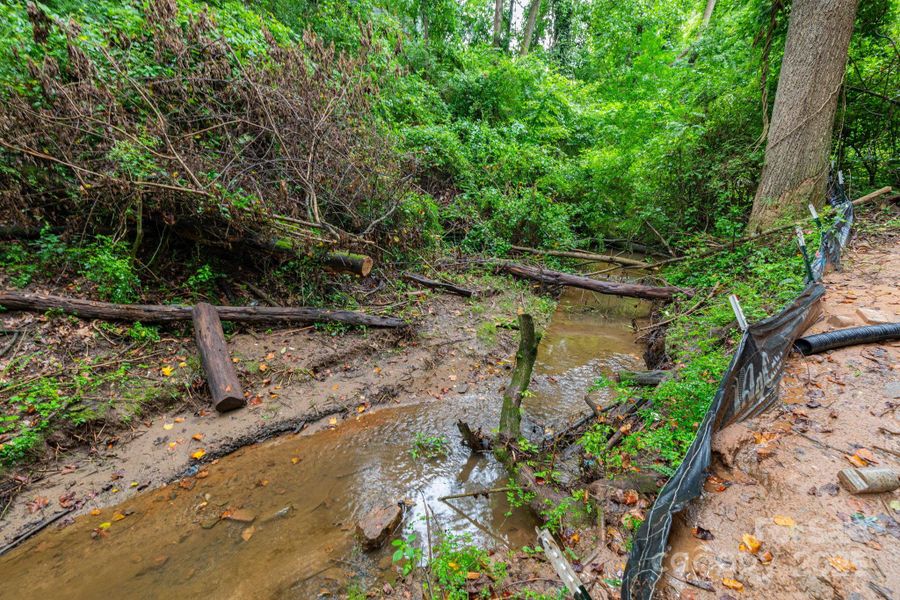 Stream Below House Stream Below House