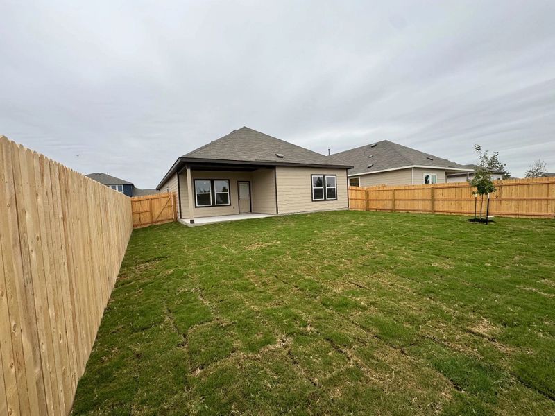 Rear Elevation Rear Elevation