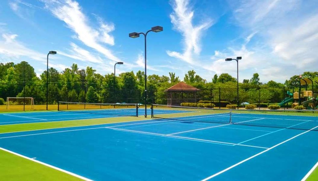 Community amenities in Heritage Pointe, Senoia (Image 65).