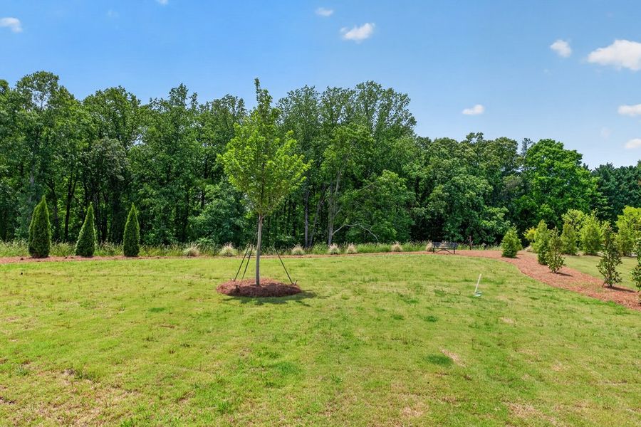 Natural landscape and outdoor views near Auburn Glen in Dacula (Image 48).